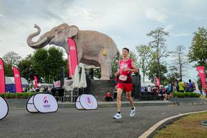 BIB: 
                            <button type="button" onclick="openModal(26528744)" class="btn btn-primary btn-sm float-right btn-popup" data-toggle="modal" data-target=".modal-high-quality">
                        <i class="fas fa-shopping-cart"></i> Add to Cart
                    </button>
                                            <button type="button" onclick="isThisMe(26528744, true)" class="btn btn-success btn-sm float-right btn-popup btn-isme hidden" data-toggle="tooltip" data-placement="bottom" title="นี่คือรูปของคุณใช่ไหม คลิกที่นี่เพื่อเอาเข้าอัลบั้ม">
                        <i class="fas fa-plus"></i> Add to album
                    </button>
                    <button type="button" onclick="isThisMe(26528744, false)" class="btn btn-warning btn-sm float-right btn-popup btn-isnotme hidden">
                        <i class="fas fa-ban"></i> Remove from album
                    </button>